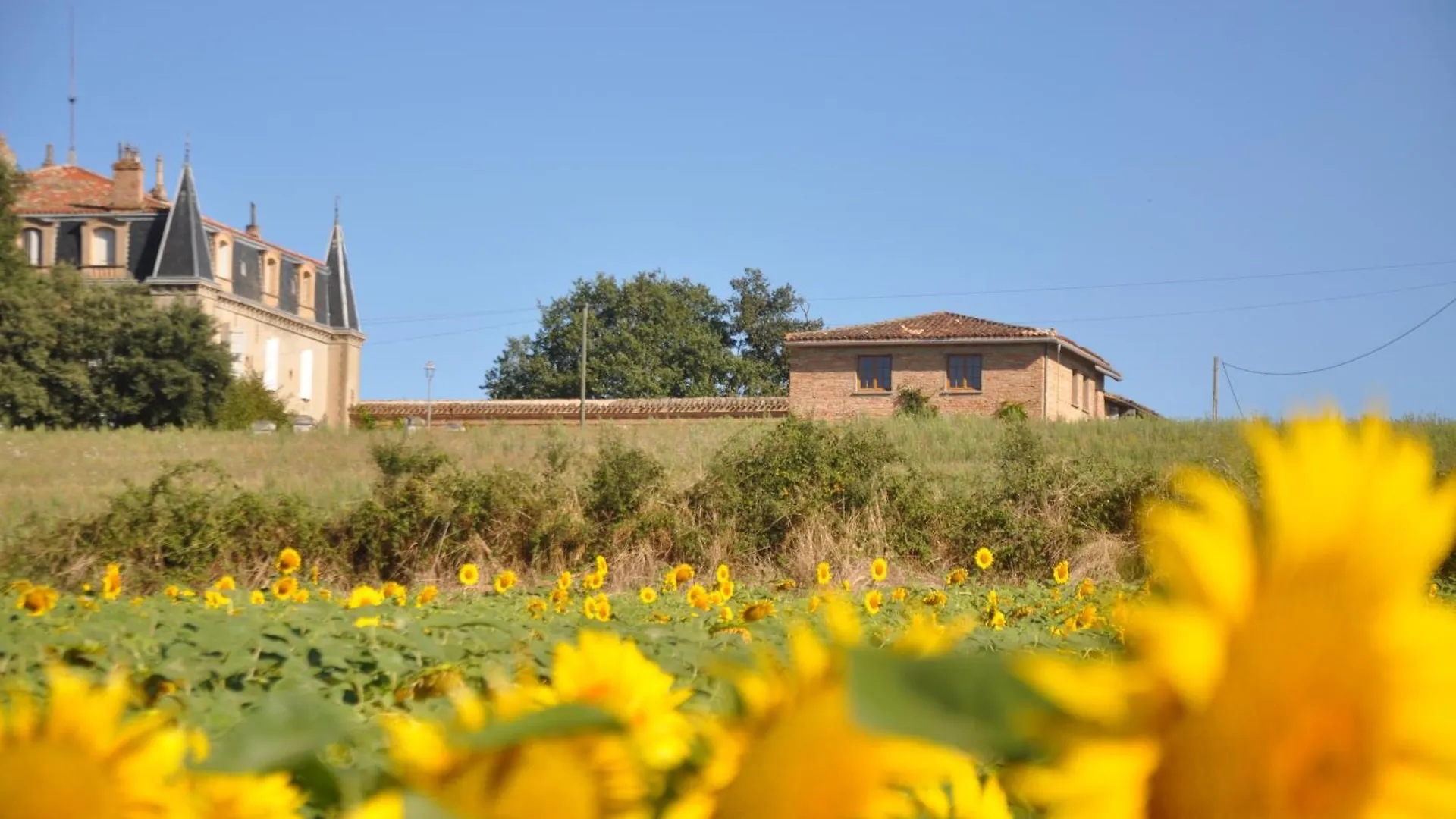 Gite Du Rossignol Cabanac-Seguenville Vakantiehuis